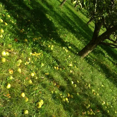 Casa Ruralromari Hétvégi ház *
