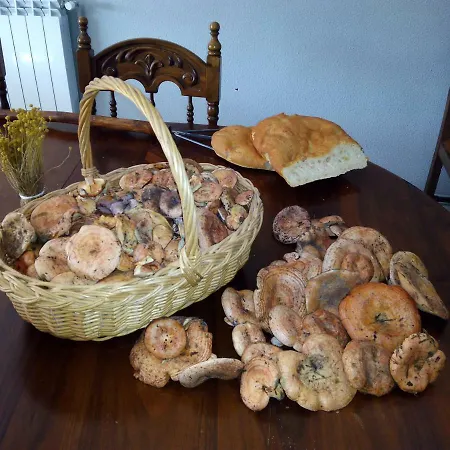 Hétvégi ház Casa Ruralromari Mas de Jacinto